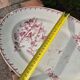 🍽️ Large antique oval dish – Opaque porcelain from Gien – Fuchsi decoration