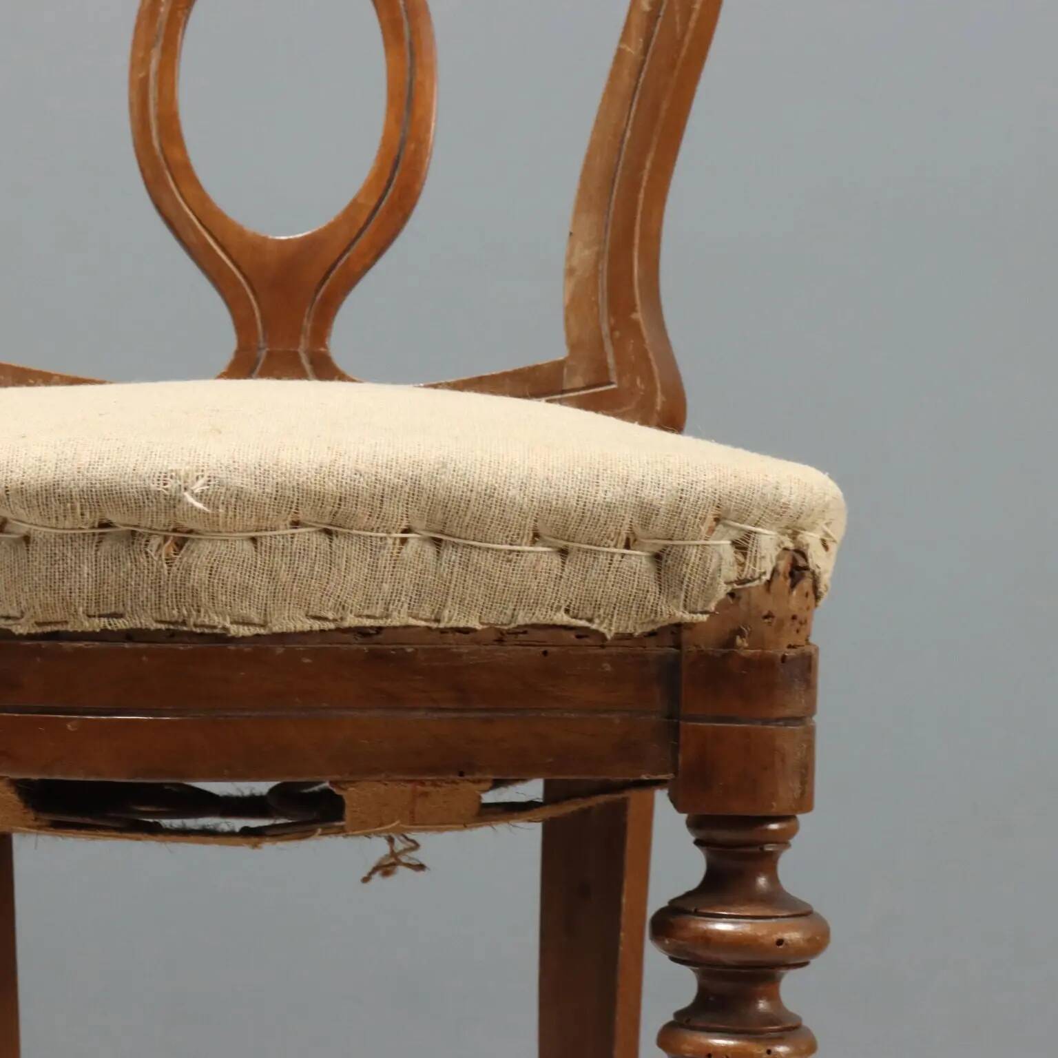 Antique walnut chairs with horsehair upholstery, Italy, 19th century.