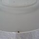 PLATE Saint Amand hamage faience old flowers ACACIA 299112