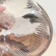 Baccarat crystal carafe model Nancy