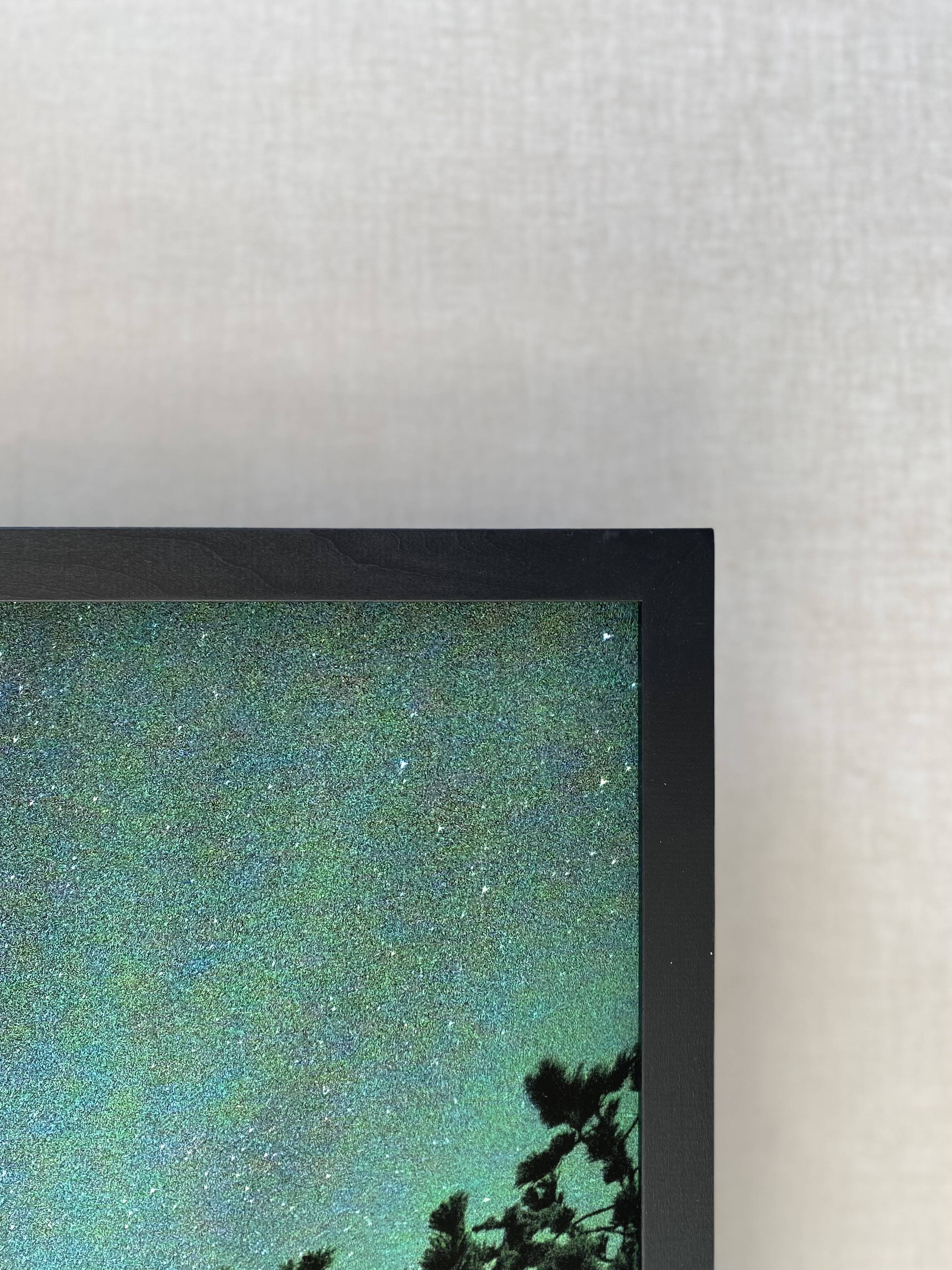 Limited Edition – Forest under the Northern Lights (4/15)