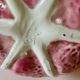 Secla soup tureen vintage pastel rose in Majolica – Cabbage model – 1970s