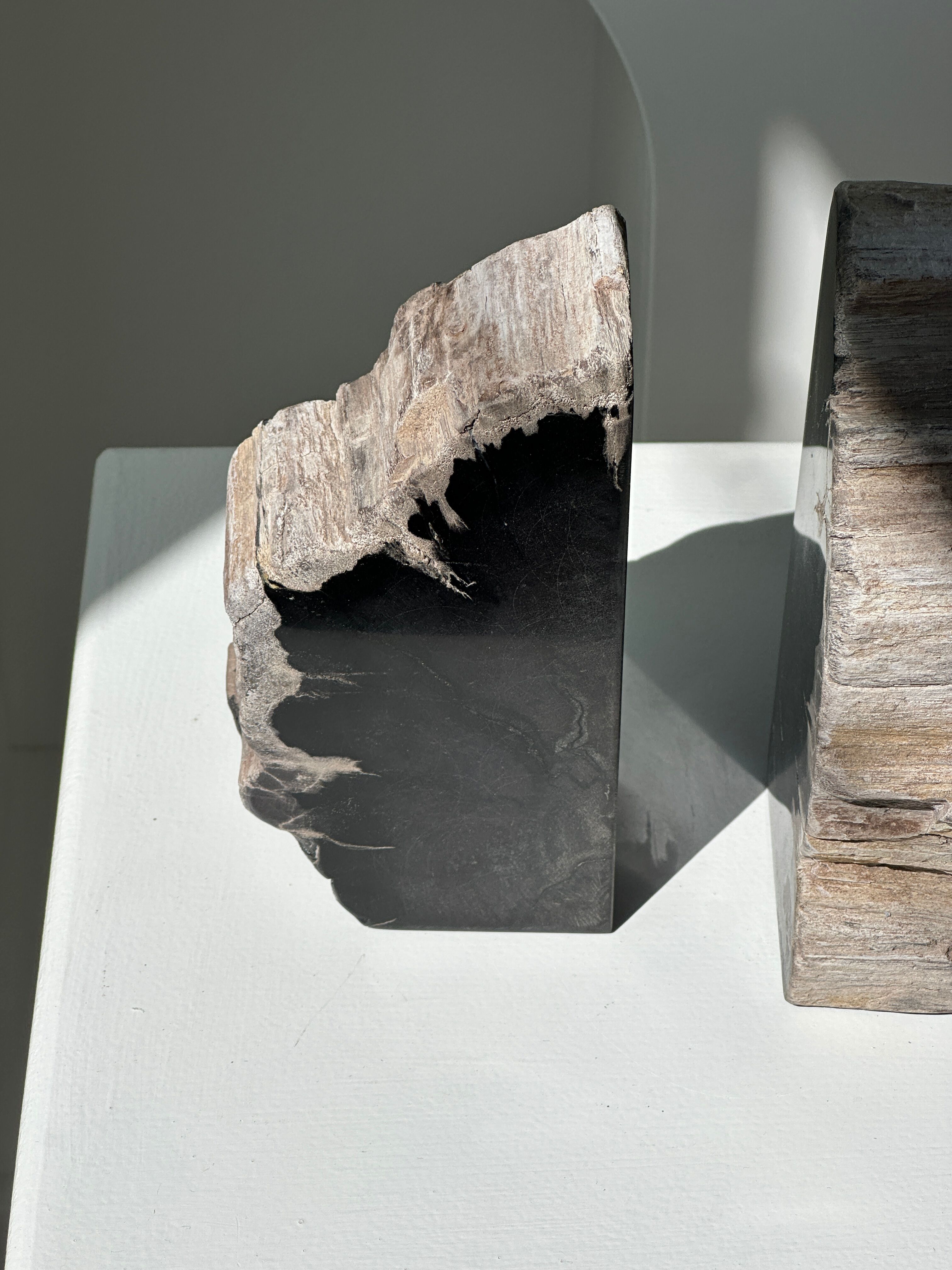 Black petrified wood bookend H17 L17 P6