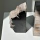 Black petrified wood bookend H17 L17 P6