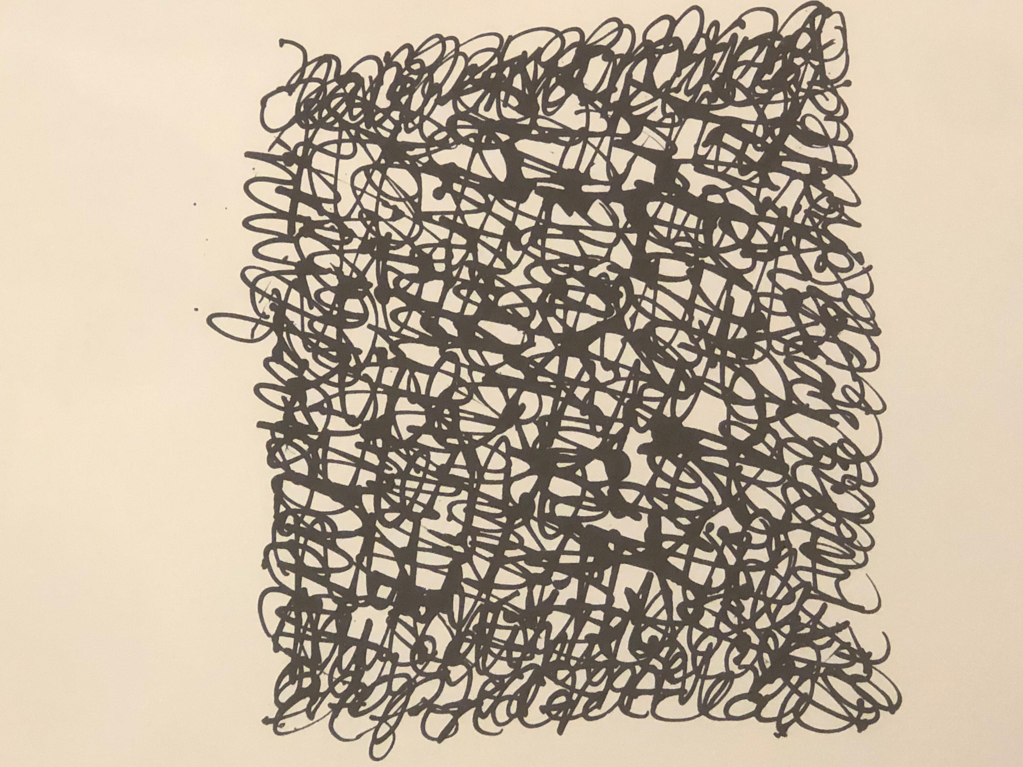 Original ideogram poster fly 1986 Dardelet vintage lithograph