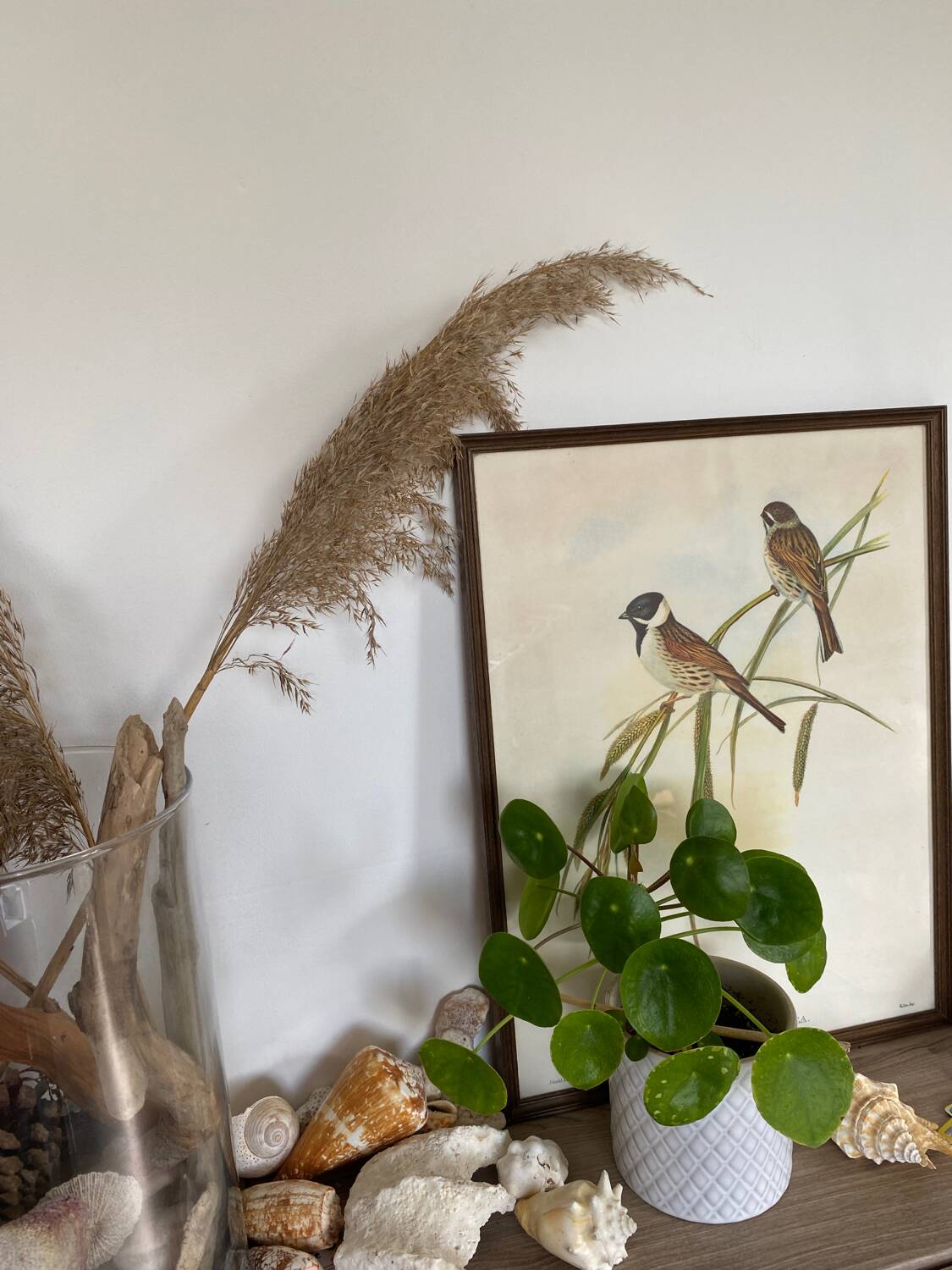 Large ornithological board