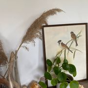 Large ornithological board