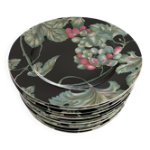 "Harvest plates Pierre Frey"