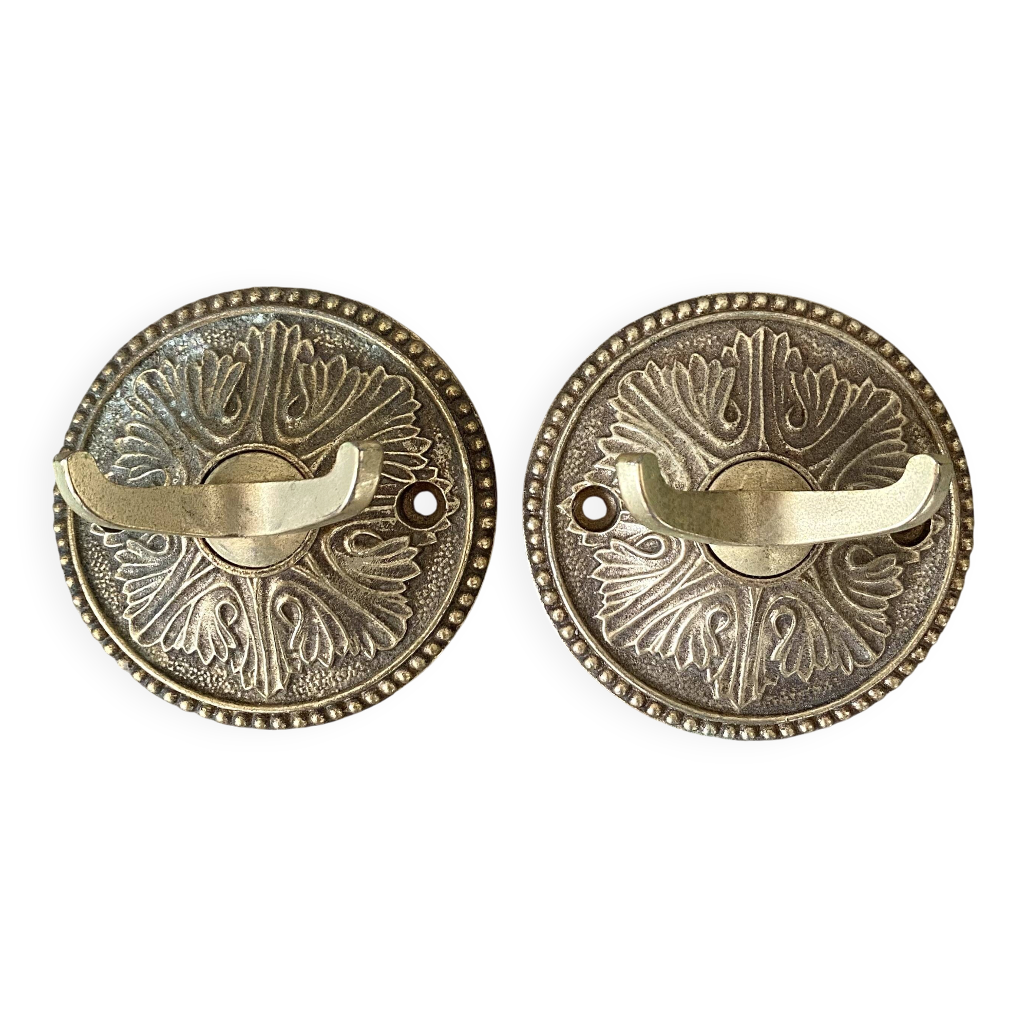 Double brass coat hooks