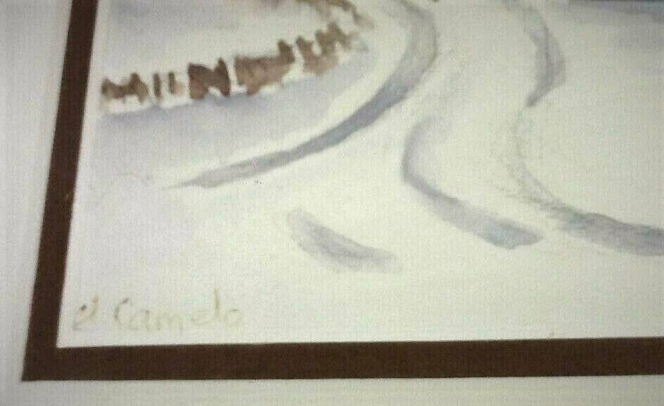 Framed watercolor Winter Landscape under the snow by D.Camelo