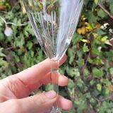 6 wine / port glasses in Baccarat cut crystal? 1930s