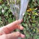 6 wine / port glasses in Baccarat cut crystal? 1930s