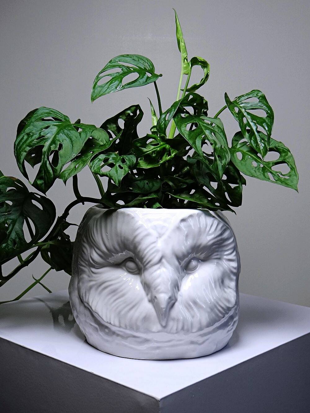 Large cache pot owl head vintage Italian white earthenware