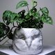 Large cache pot owl head vintage Italian white earthenware