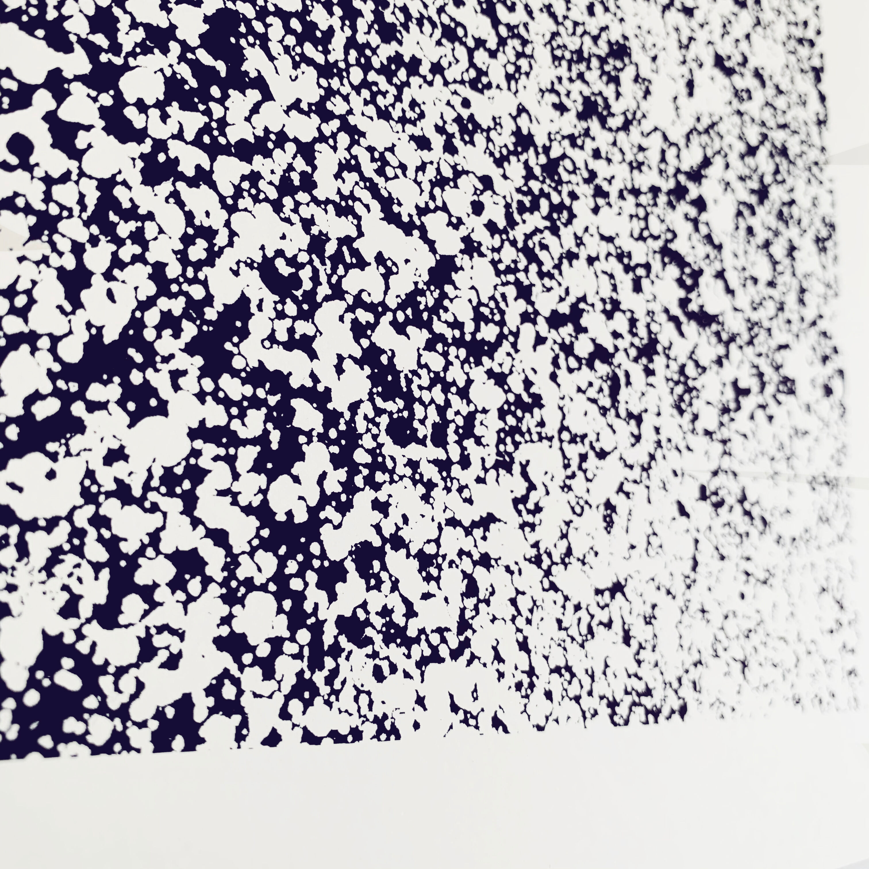 Screenprint Andromed