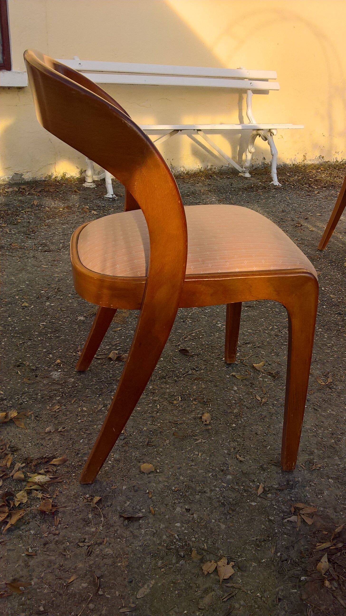 6 chairs Baumann