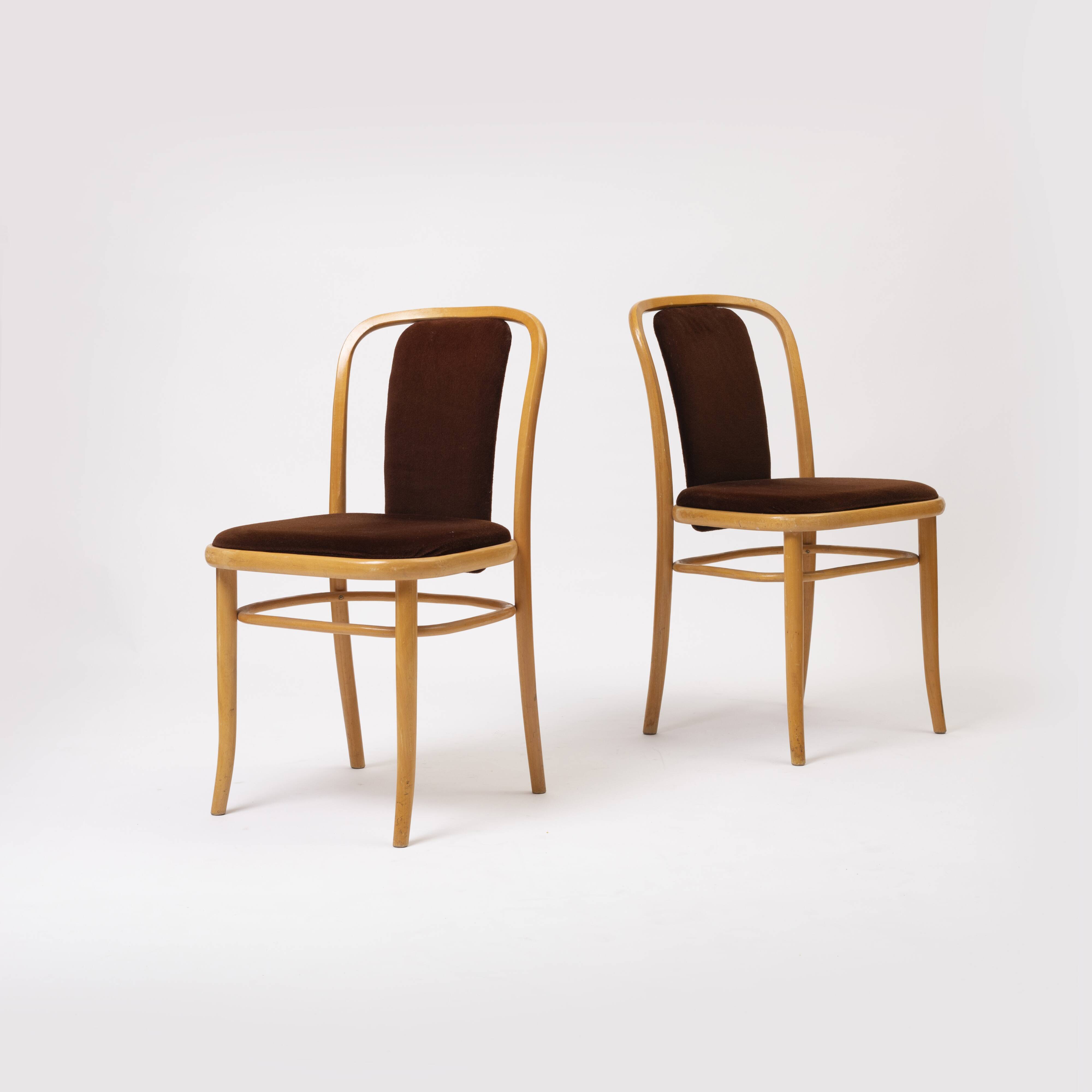 Set of 2 bentwood chairs in brown velvet by TON
