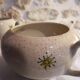 Sugar bowl and earthenware milk pot The stars - French potteries