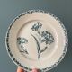 Set of 8 plates Terre de Fer 1900 K.G Lunéville, model "Carnation"