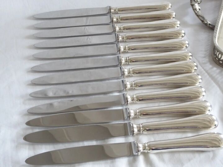 Set of 12 table knives in silver metal