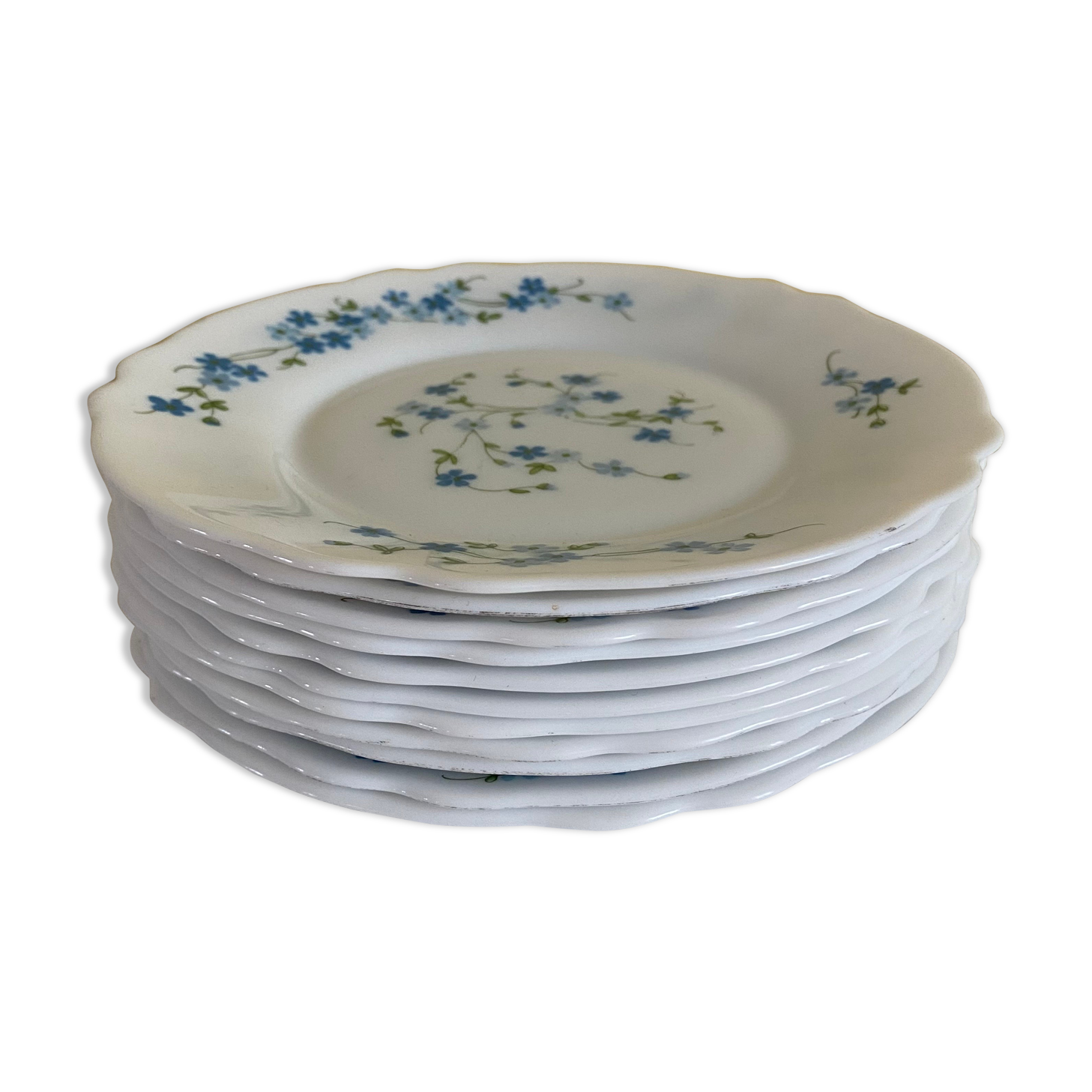 Myosotis veronica dessert plates