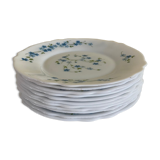 Myosotis veronica dessert plates