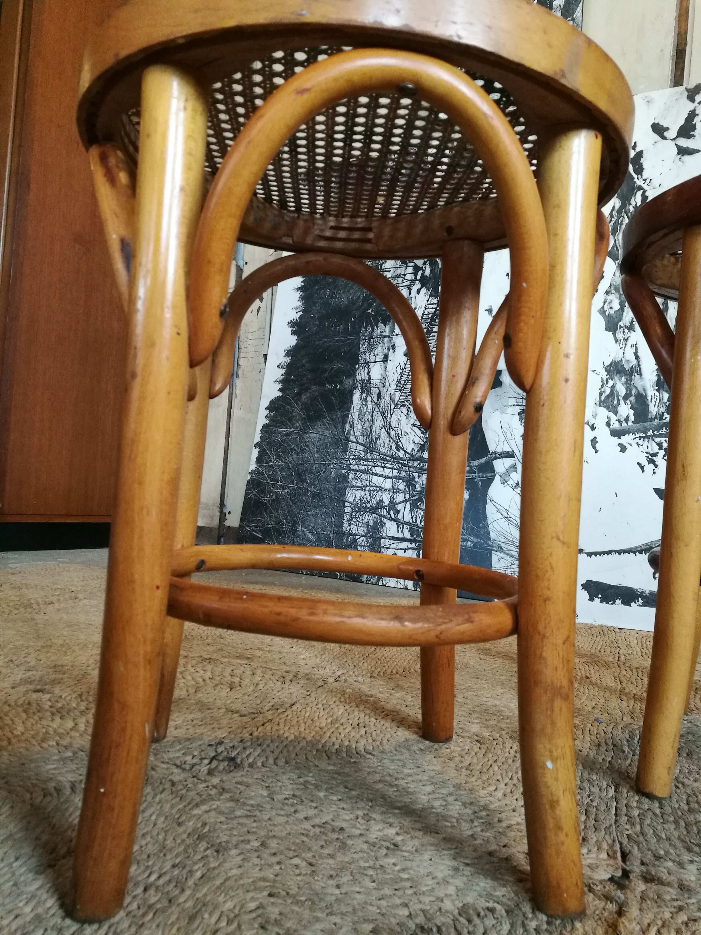 Pair of curved wooden stools