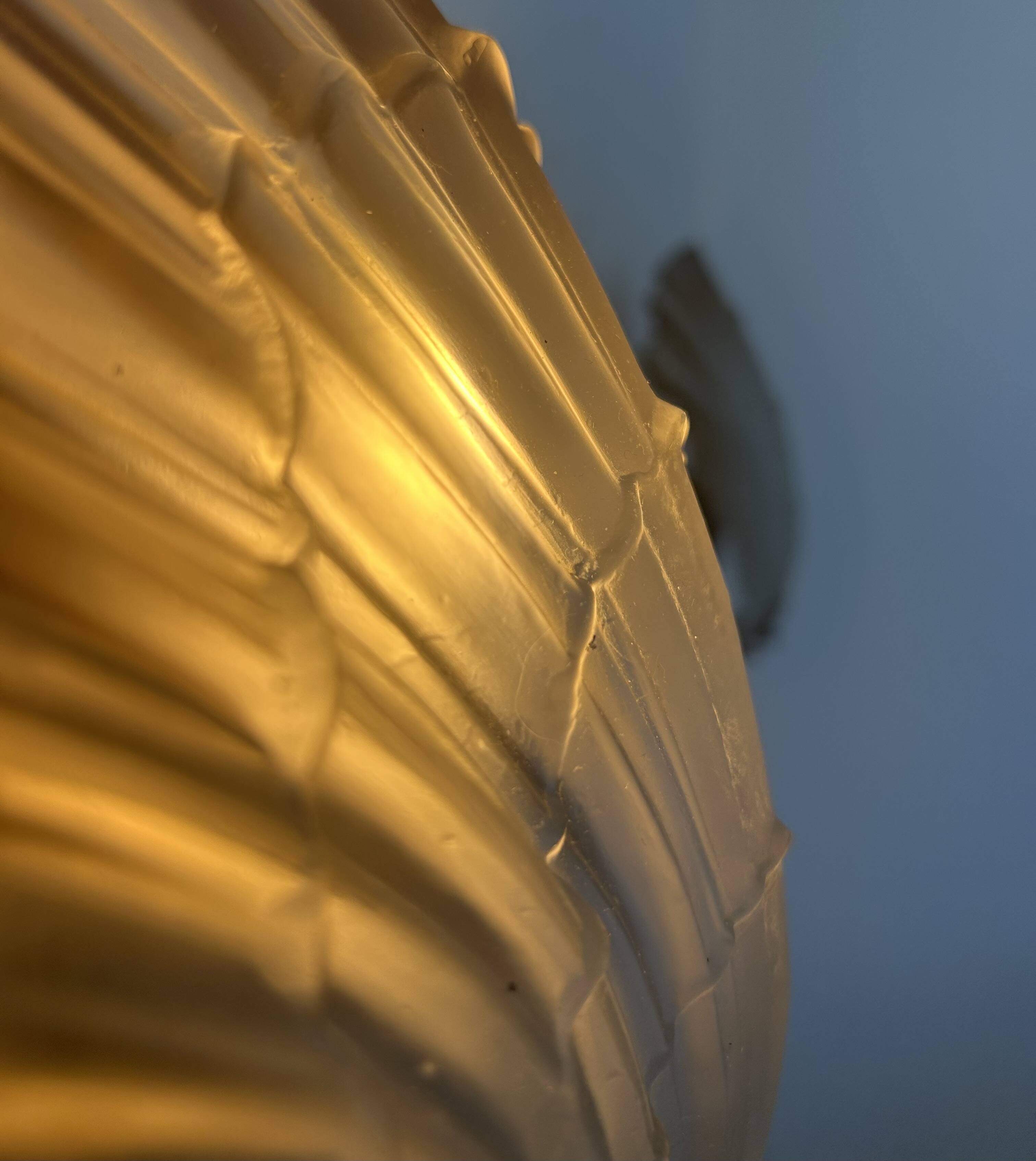 Pair of shell wall lights, glass and brass, France 1960