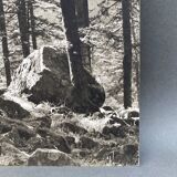 Film photography by Bernard Darot, Sun, Vosges Forest, Nantes Club