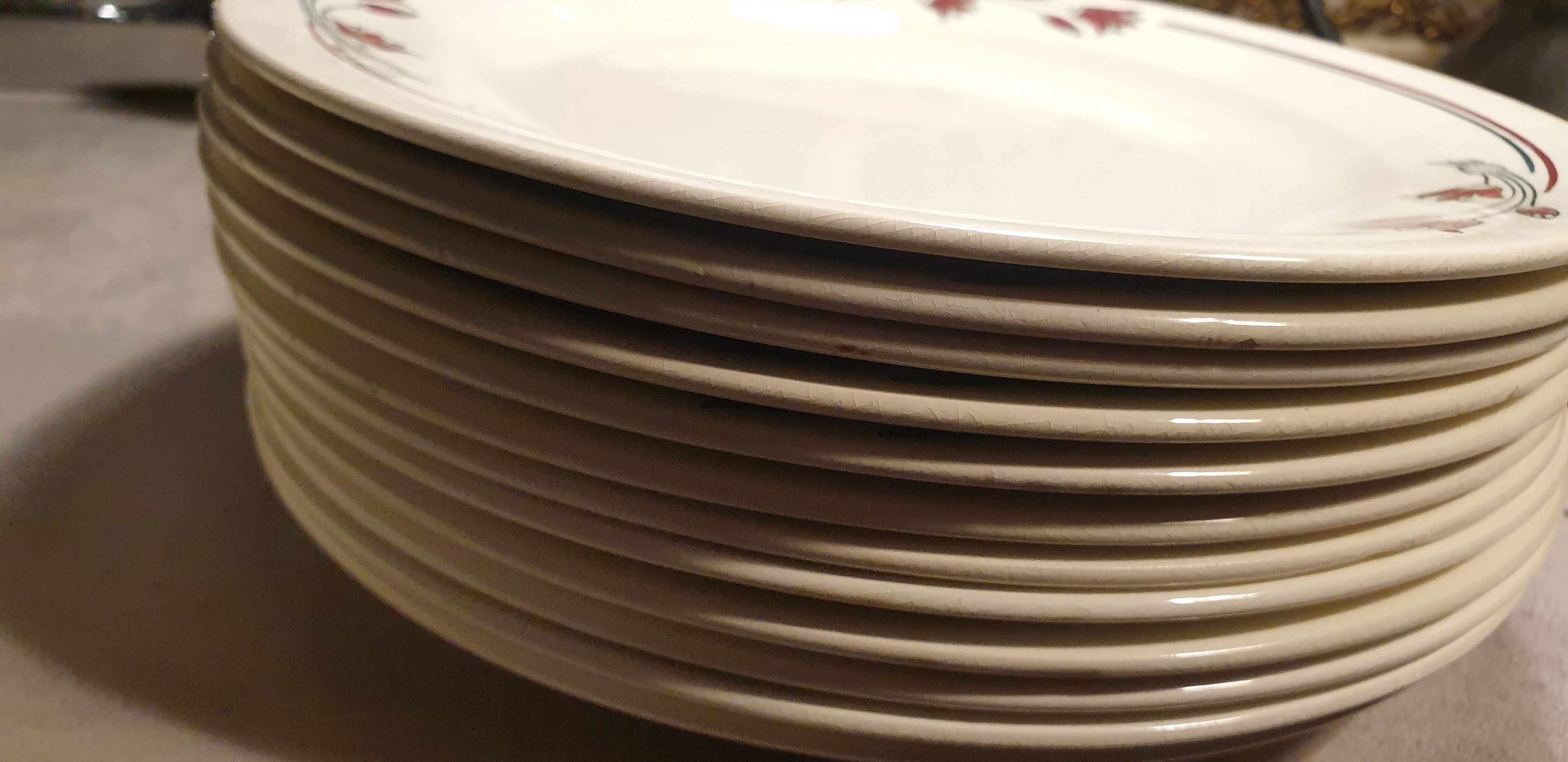 23 flat plates Salins E.charbonnier model Athos