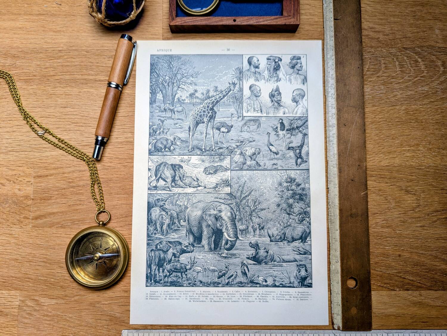 Printed in 1921, engravings of Africa.