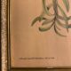 Lithograph J. Gould & HC Richter