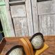 Pair of greenhouses vintage wooden books world map