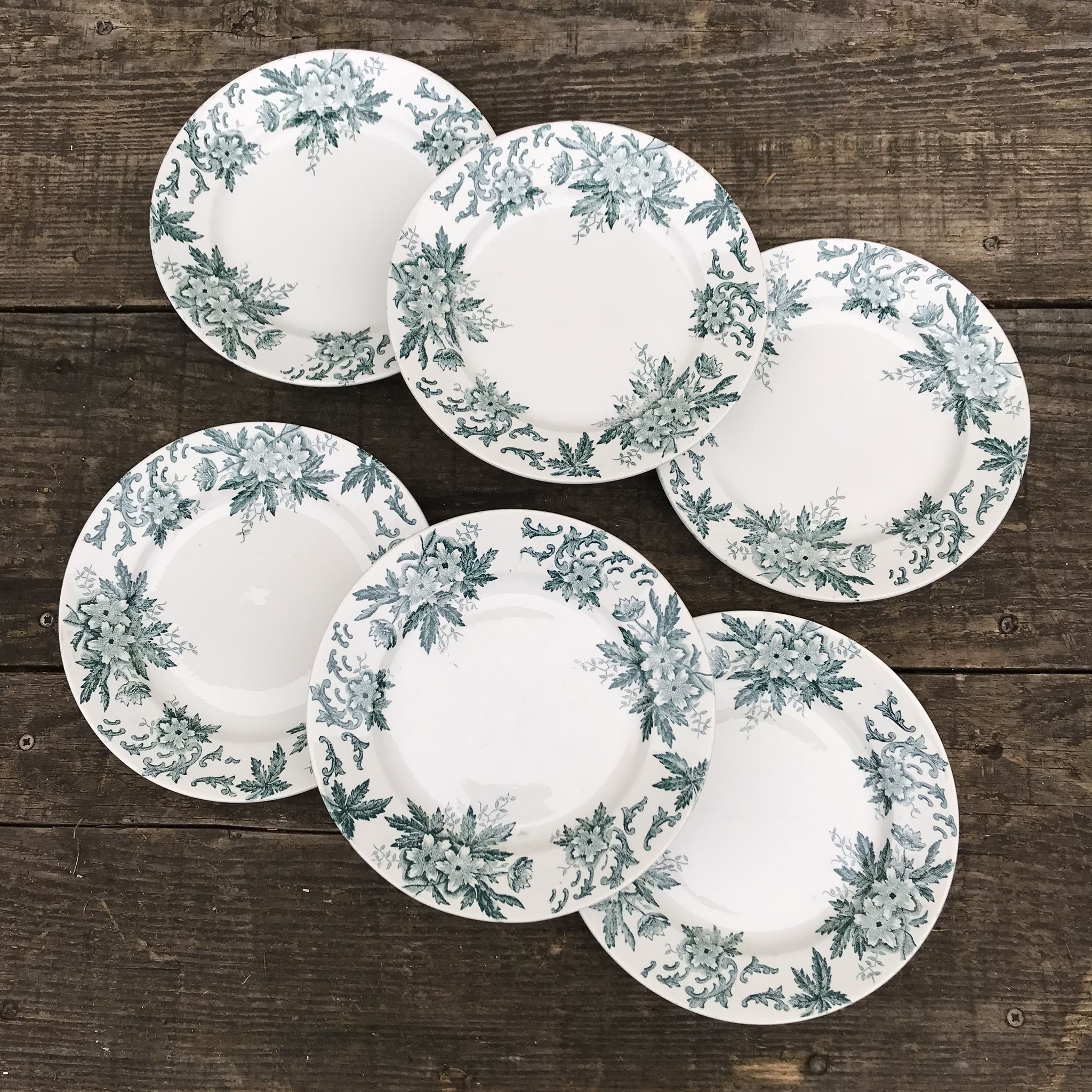 6 old flat plates in iron earth Anémones St Amand