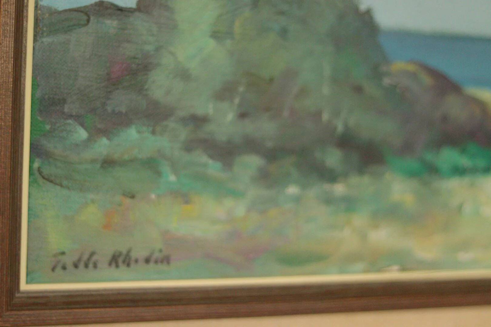 "Hallands Kust" de T. Rhodin, 1980