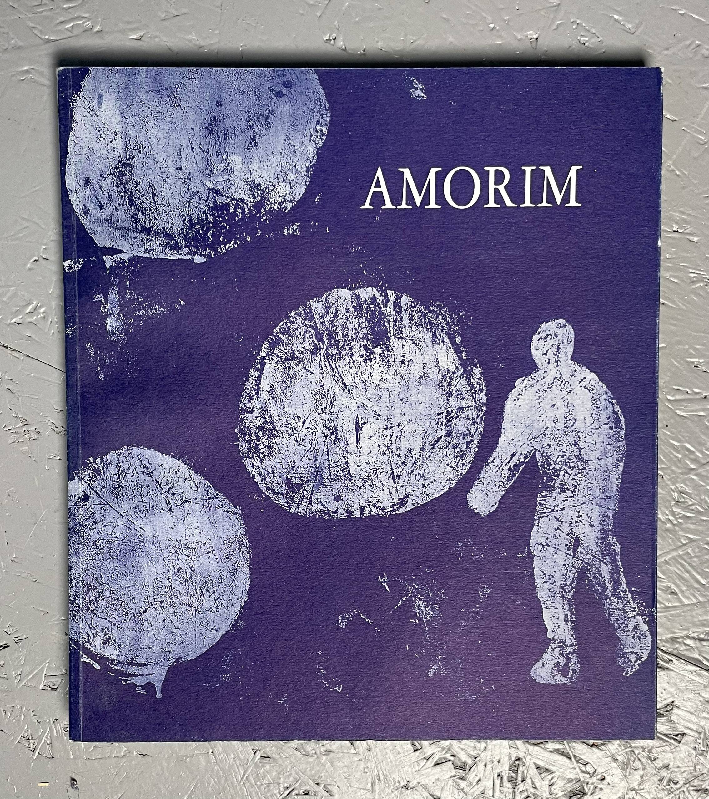 Amorim Painting + Book