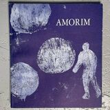 Amorim Painting + Book