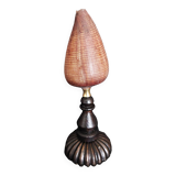 Cabinet of Curiosities conus figulinus shell on base