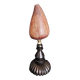 Cabinet de Curiosités coquillage conus figulinus sur socle