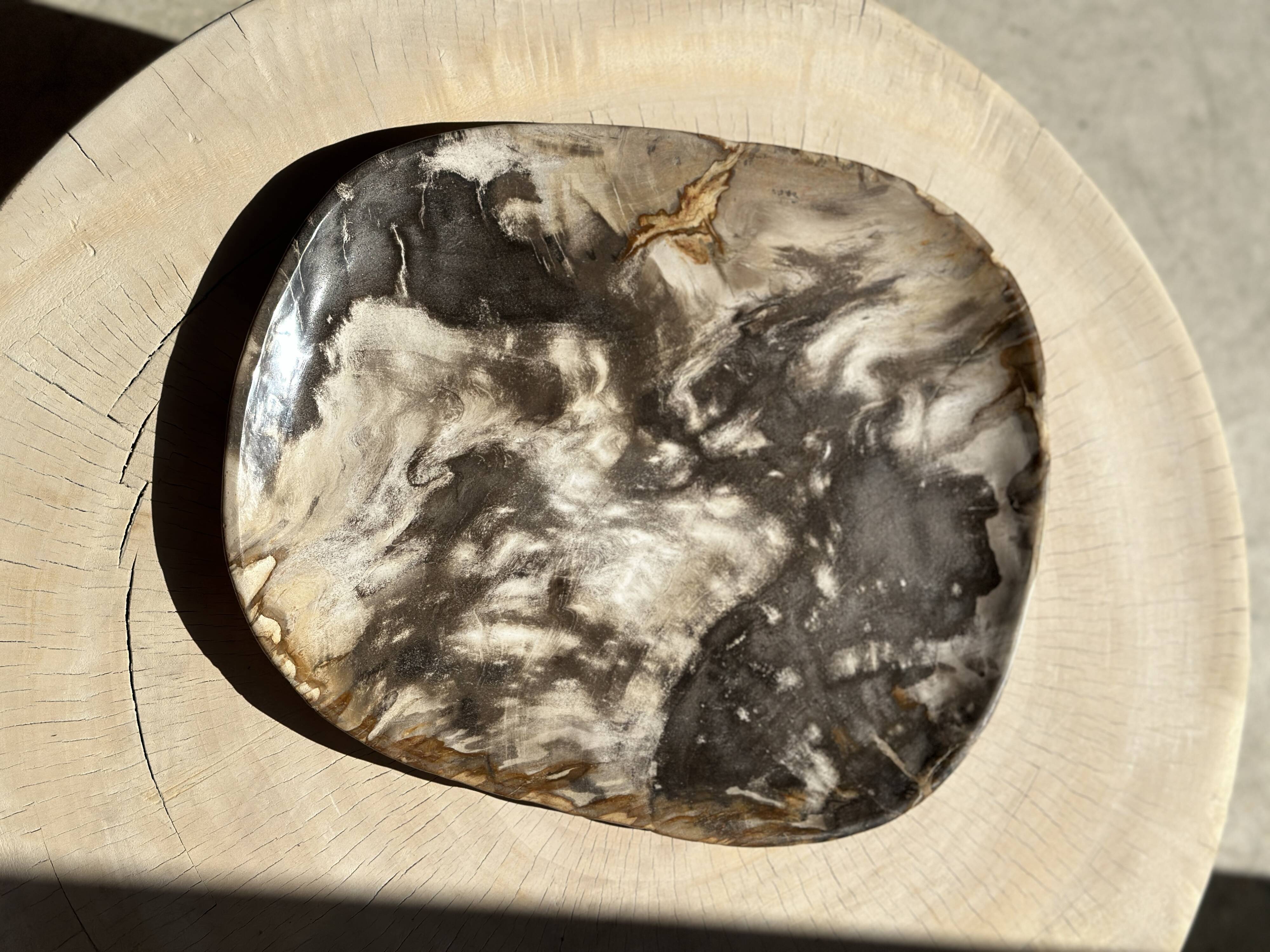 Very large pocket or dish in petrified wood