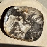 Very large pocket or dish in petrified wood