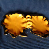 Beggar leaf shape of Vallauris France