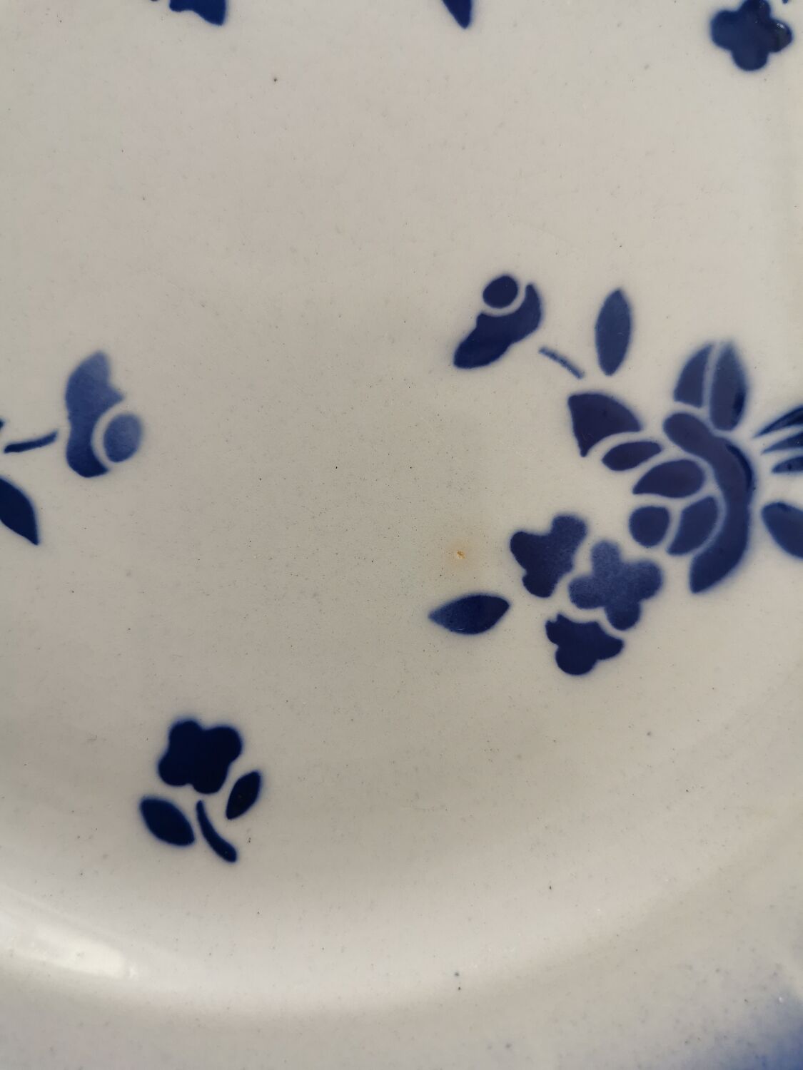 Blue Badonviller retro plates