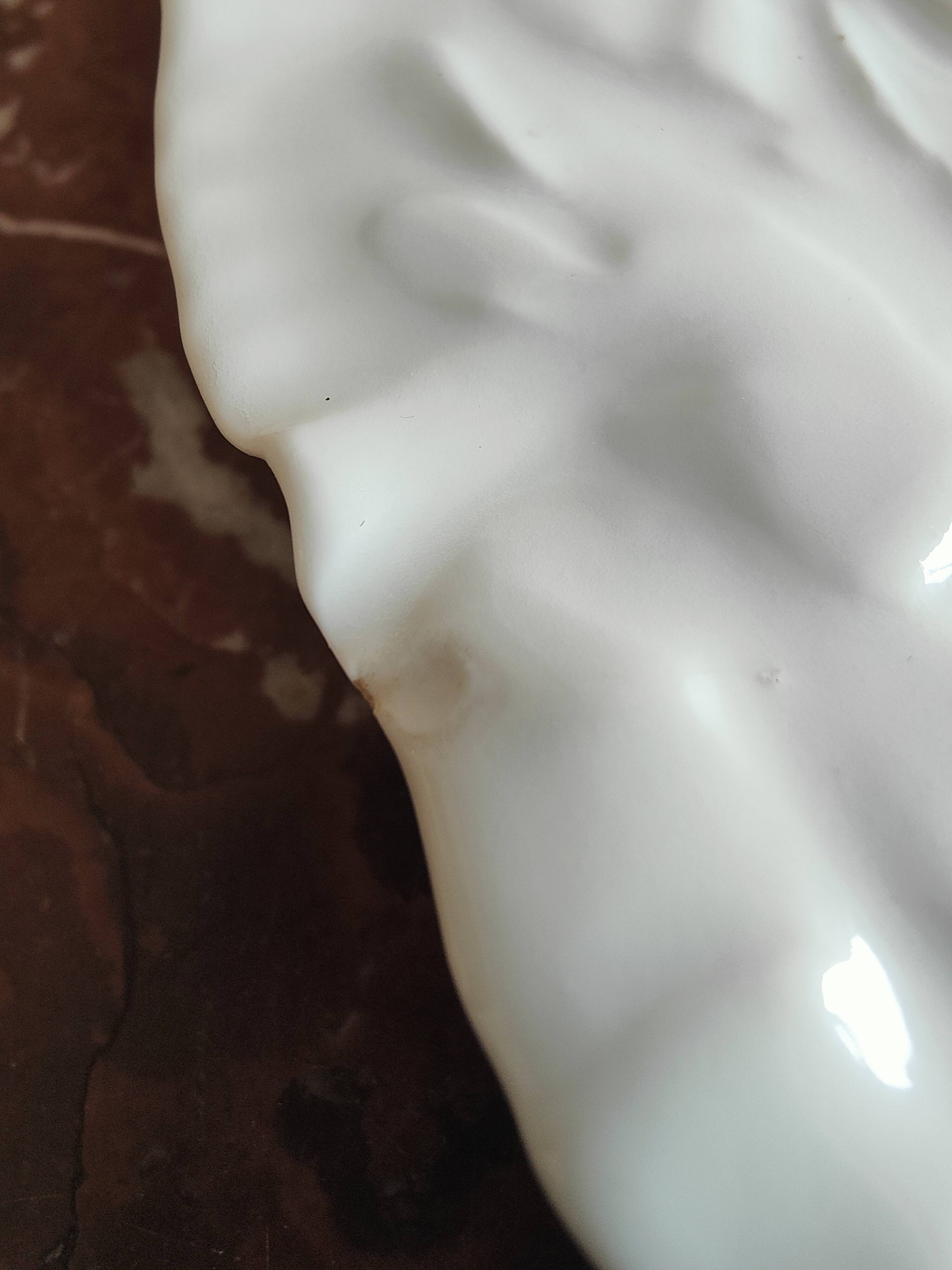 Oyster plate 19th century porcelain Haviland & Co Limoges France