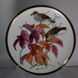 12 assiettes "oiseaux chanteurs du monde", Franklin Wedgwood Singer Arthur 1977