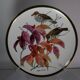 Franklin Wedgwood Singer Arthur plates 1977 x12 "songbirds of the world"