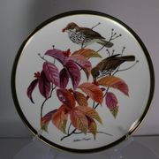Franklin Wedgwood Singer Arthur plates 1977 x12 "songbirds of the world"