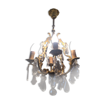 Grape variety chandelier