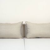 Paire de coussins ikat