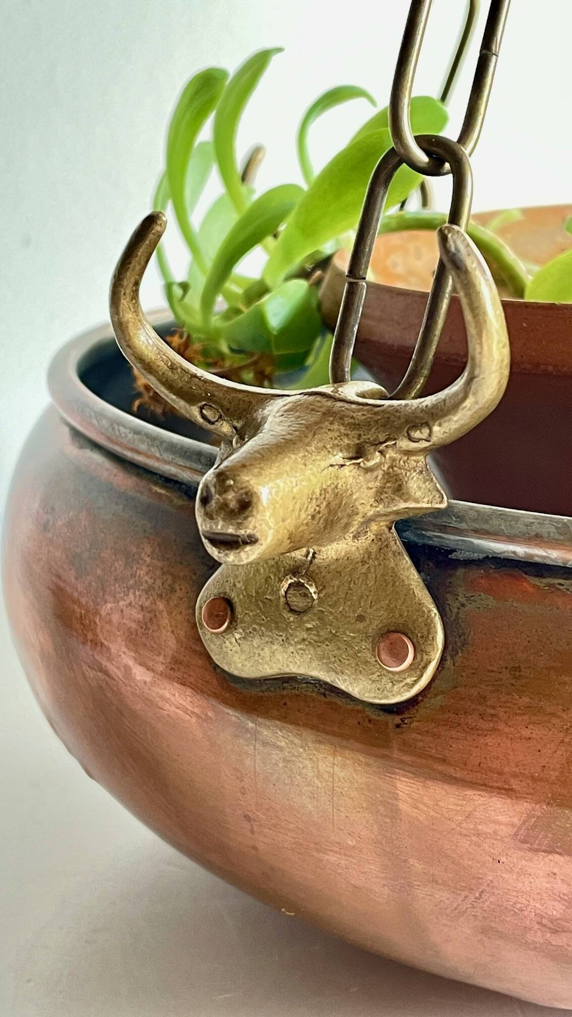 Cache-pot suspendu aux 3 buffles vintage
